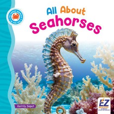 All about Seahorses