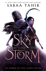 A Sky Beyond the Storm
