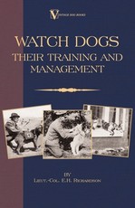 Watch Dogs