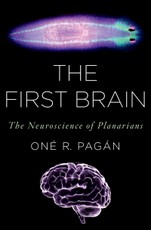 The First Brain