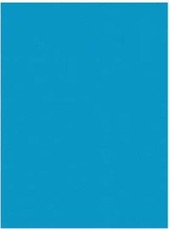 Spalvotas kartonas A2/170g  mėlynas