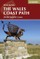 The Wales Coast Path