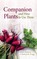 Companion Plants and How to Use Them
