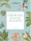 The Kew Gardener's Guide to Growing House Plants