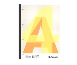Sąsiuvinis A4/70l. Esselte langeliais