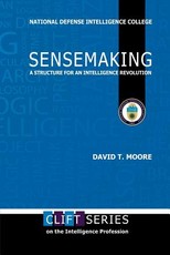 Sensemaking