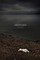 Another Shore