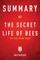Summary of The Secret Life of Bees