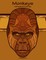 Monkeys Coloring Book for Grown-Ups 1