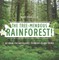 The Tree-Mendous Rainforest! All about the Rainforests | Children's Nature Books