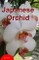 Japanese Orchid