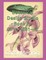 Antique Botanical Design Studio - Book IV - Circa 1842