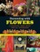Decorating with Flowers