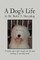 A Dog's Life