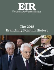 The 2018 Branching Point in History