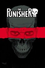 The Punisher Vol. 1