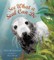 See What a Seal Can Do