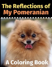 The Reflections of My Pomeranian