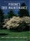 Pirone's Tree Maintenance