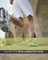 Nebraska Producer's Life and Annuities Insurance License Exam Review Questions & Answers 2016/17 Edition