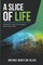 A Slice of Life