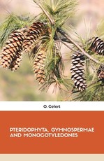 Pteridophyta, Gymnospermae and Monocotyledones