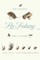 Science of Fly-Fishing