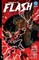 Absolute Flash Vol. 2