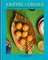 KwÃÂ©yÃÂ²l / Creole