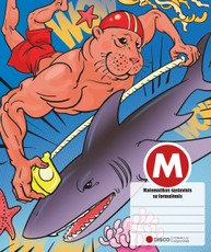 Formulių sąsiuvinis matematikai DISCO