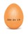 I Liked the Egg