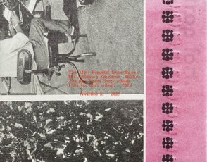 Die schönsten Schweizer Bücher 2024