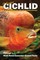 15 Essential Cichlid Fish Facts That You May Have Never Known