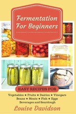 Fermentation for Beginners