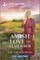 An Amish Love to Remember