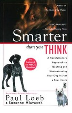 Smarter Than You Think