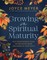 Joyce Meyer Bible Study Derivative #2