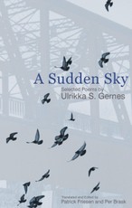Sudden Sky