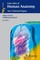 Color Atlas of Human Anatomy