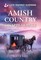 Amish Country Disappearance