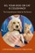 So Your Dog or Cat is Coughing?