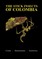 The Stick Insects of Colombia