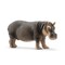 SCHLEICH WILD LIFE Begemotas