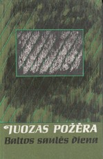 Baltos saulės diena