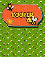 Handwriting Practice 120 Page Honey Bee Book Cooper