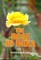 The Rose in India