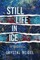 Still Life in Ice