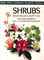 Shrubs