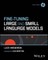 Fine-Tuning Large and Small Language Models