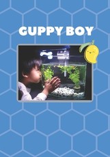 Guppy Boy
